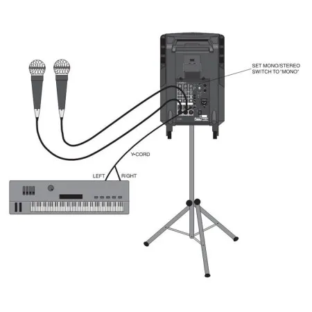 Акустическая система активная SAMSON XPL300