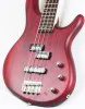 CORT Action PJ OPBC