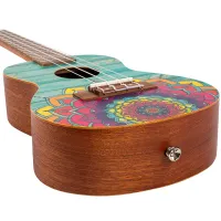 Flight AUC-33 Mansion4