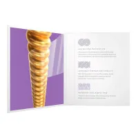 D'Addario XSABR1152 Набор струн для 6-струнной акустической гитары, размер 11-52