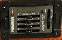 Гитара электроакустическая CORT CEC 5 NAT