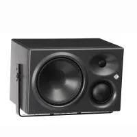 Neumann KH310 ARG Монитор студийный активный  трехполосный , правый