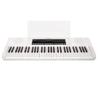 SOLISTA SK61WH Синтезатор 61 клавиша, цвет белый SOLISTA SK61WH Синтезатор 61 клавиша, цвет белый
