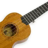 Enya EUS-20 Укулеле Сопрано с фирменным чехлом в комплекте