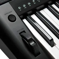 Kurzweil KP150 LB Синтезатор, 61 клавиша, полифония 128, цвет чёрный Kurzweil KP150 LB Синтезатор, 61 клавиша, полифония 128, цвет чёрный