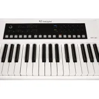 SOLISTA SK61WH Синтезатор 61 клавиша, цвет белый SOLISTA SK61WH Синтезатор 61 клавиша, цвет белый