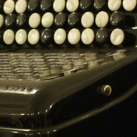 Баян «Юпитер-2Д» 46/61x44/80, 2-голосный, готово-выборный