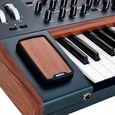 Arturia PolyBrute Синтезатор аналоговый, 61 клавиша