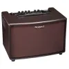 Roland AC-60RW Комбоусилитель гитарный