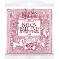 Ernie Ball 2409
