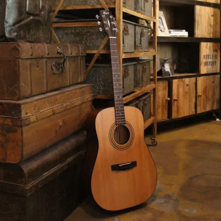 CORT AD 810 NS W_Bag