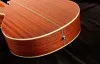 Oriental Cherry W-500S-40