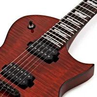 ESP LTD EC-1001FM TEF Электрогитара 6-струнная, цвет Tiger Eye ESP LTD EC-1001FM TEF Электрогитара 6-струнная, цвет Tiger Eye