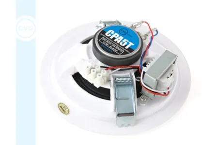 Громкоговоритель CVGaudio CPA5T