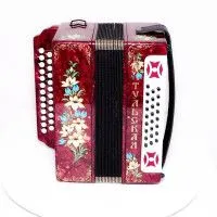 Гармонь Г-21 