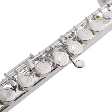 VIVOTON Standart 16 X Флейта C (До) ученическая (с изогнутой головкой)