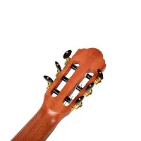 Tayste TS-CG100-N Электроакустическая классическая , 4/4, цвет натуральный