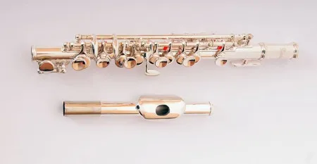 Флейта Пикколо Fleet FLT-PC-S