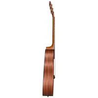 BATON ROUGE X11C/F Гитара акустическая Folk, 6 струн, цвет натураный матовый