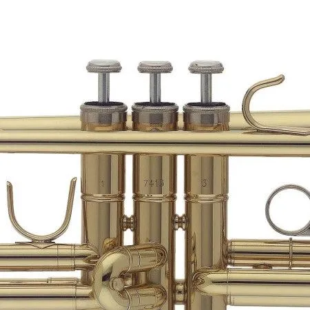 STAGG WS-TR215S Труба в мягком кофре, строй Bb
