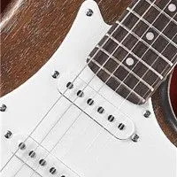 Электрогитара CORT G100 OPW