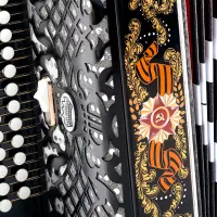 Шуйская гармонь SZ32/1 XL Гармонь "ПОБЕДА" 25х25-III