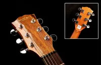 Oriental Cherry W-300-40