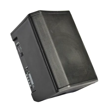 Xline NPS-8A Акустическая система активная с АКБ, 30 Вт, USB/SD/Bluetooth/FM