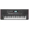 Roland E-X50 Синтезатор с автоаккомпанементом, 61 клавиша