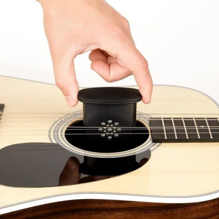 Planet Waves GHP Humidifier Pro Увлажнитель для гитар
