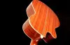 Oriental Cherry W-100-40