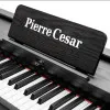 Pierre Cesar DP-12-H-BK Фортепиано цифровое, 88 клавиш