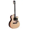 Meridaextrema A18GAC 1 Гитара акустическая с чехлом