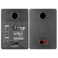 Fluid Audio C50BT Мониторы студийные (пара), 5.25"+1", 2x42 Вт, Bluetooth v5.0, Sub Out