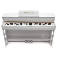 Pierre Cesar DP-500-H-WH Фортепиано цифровое, 88 клавиш Pierre Cesar DP-500-H-WH Фортепиано цифровое, 88 клавиш