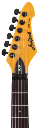 ARIA EGPN-SP