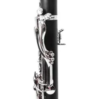 VIVOTON Standart+ Кларнет ученический Bb (Си-бемоль), в футляре, с аксессуарами в комплекте