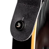 Planet Waves PW-SLS-02 Комплект из 2-х креплений ремня для гитары, никель