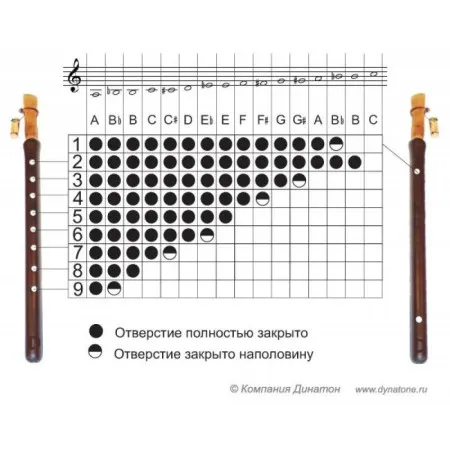 Ararat D500ProA Black Дудук, строй A(Ля), абрикосовое дерево, трость в комплекте