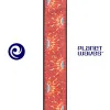 Ремень Planet Waves 50E09 Woven «Sun»
