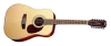 Cort Earth 70-12 NS