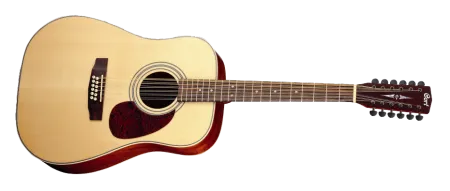 Cort Earth 70-12 NS