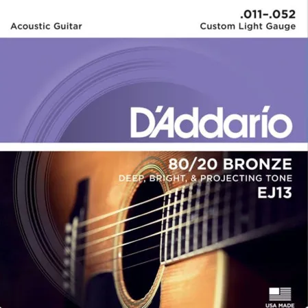 D'Addario EJ13