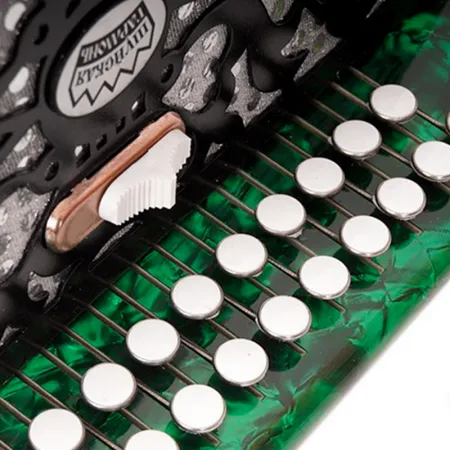 Шуйская гармонь S5XL Гармонь "Чайка-314" двухрядная 25х25-III-2