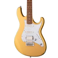 CORT G250-CGM Электрогитара, 6 струн, 22 лада, цвет золото CORT G250-CGM Электрогитара, 6 струн, 22 лада, цвет золото