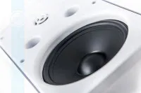 CVGaudio RF616TW Громкоговоритель настенный