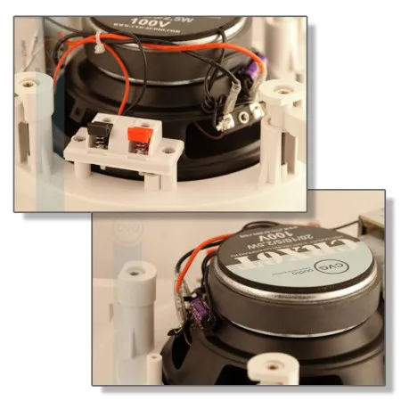 Громкоговоритель CVGaudio CRX6T