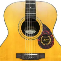 Suolun GT-1OM N Гитара акустическая 40" Orchestra, цвет натуральный, с чехлом в комплекте