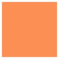 ROSCO Supergel №317 Apricot ROSCO Supergel №317 Apricot