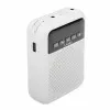 LAudio WS-VA030 Поясной громкоговоритель гида с головным микрофоном